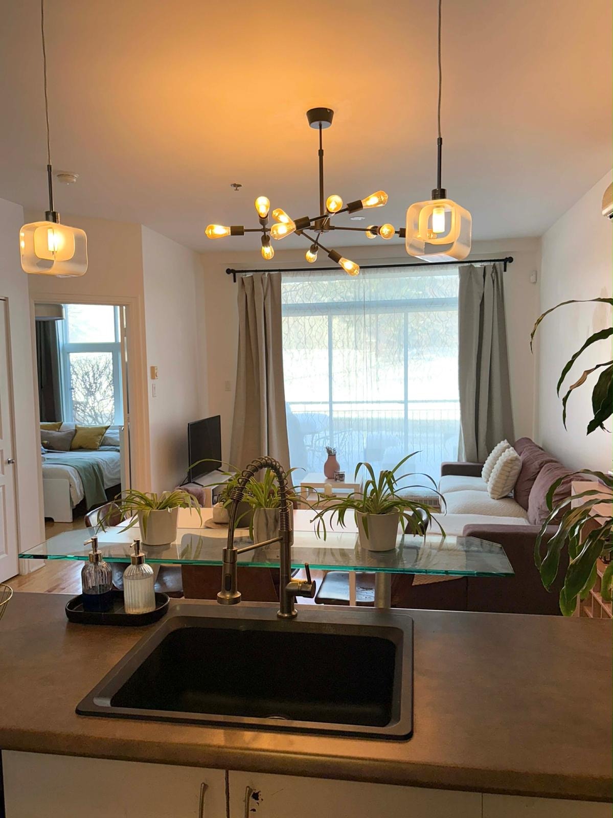 Cession de bail – Bright 3½ near Parc Laurier – $1550/month — photo 3
