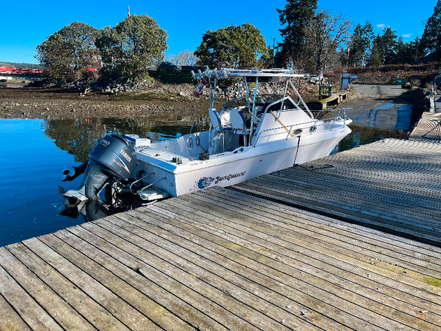 19194 240 Proline Fish Machine in Powerboats & Motorboats in Parksville / Qualicum Beach - Image 3