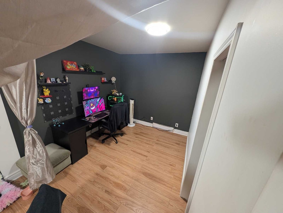 large 3.5. PETS ACCEPTED 4