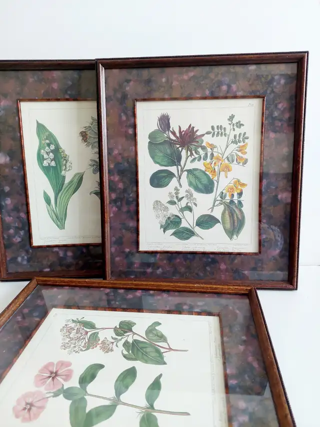 3 'Edwards Botanicals' prints, by Bombay Compa in Home Décor & Accents in Hamilton - Image 9
