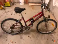 Vagabond Bicycle