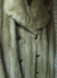 Mink Coat Full length Hudson Bay$750