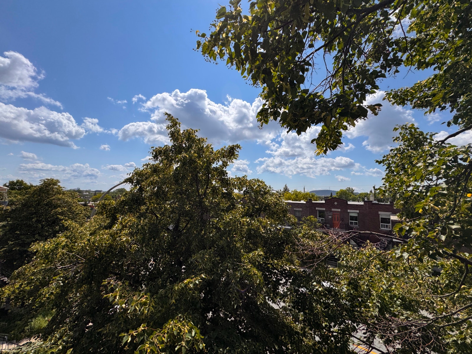 3 1/2. Vieux Rosemont. Contemporain. Électroménagers inclus. — photo 1