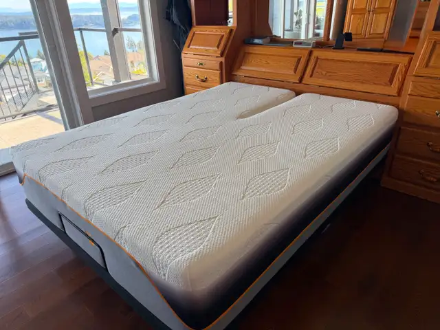 Adjustable Split Queen Bed Plus Accessories456001012735692803
