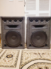 huge dj speakers 15" RFC woofers 500watts