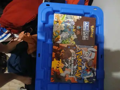 Livres Pokémon Hachette, View more