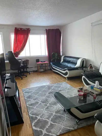 looking for girl ( rent living room )