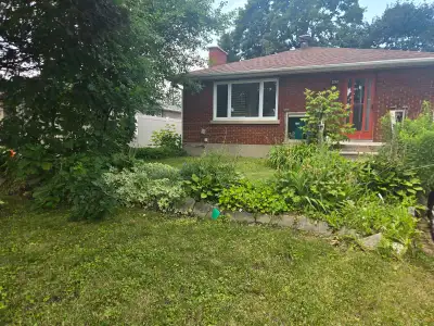 1 bedroom house roomate