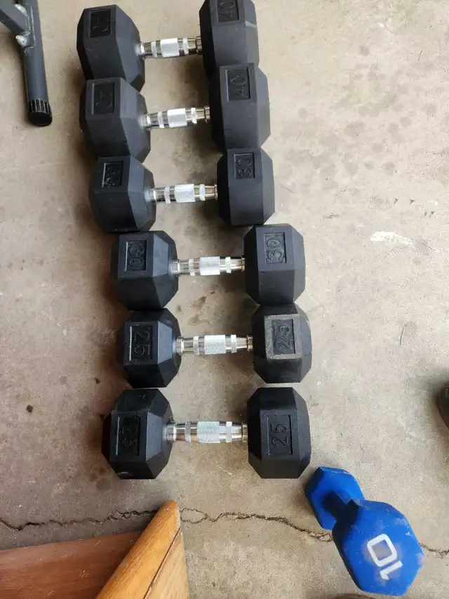 For Sale Workout Bench and Dumbbell Set | Exercise Equipment | Edmonton ...