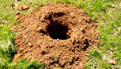  post holes, View more