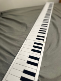 88-Key Portable Keyboard (FOLDPIANO88)