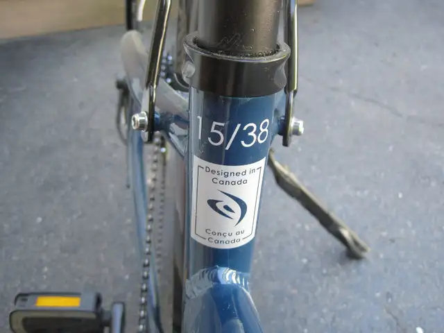 Vélo Électrique Damco à vendre in eBike in Granby - Image 5