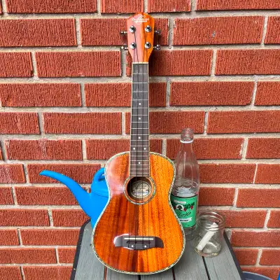Oscar Schmidt Washburn Ukulele, View more