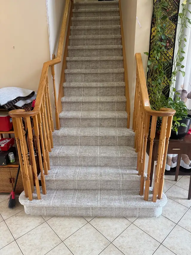 carpet installation 519876586725058562