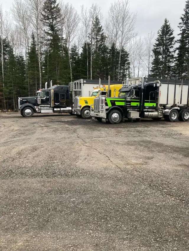 2022 Peterbilt  in Heavy Trucks in Thunder Bay - Image 10