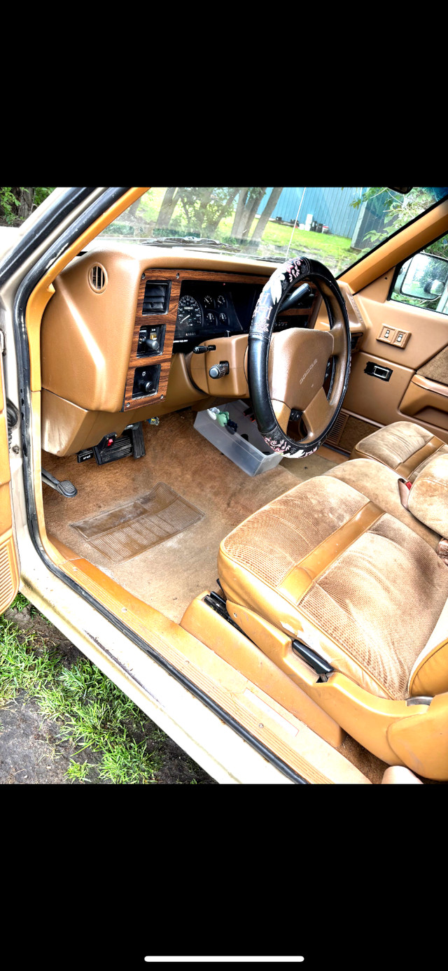 Running 1993 dodge Dakota in Cars & Trucks in Edmonton - Image 2