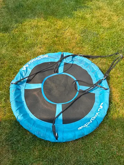 VivaActive Saucer Swing, View more