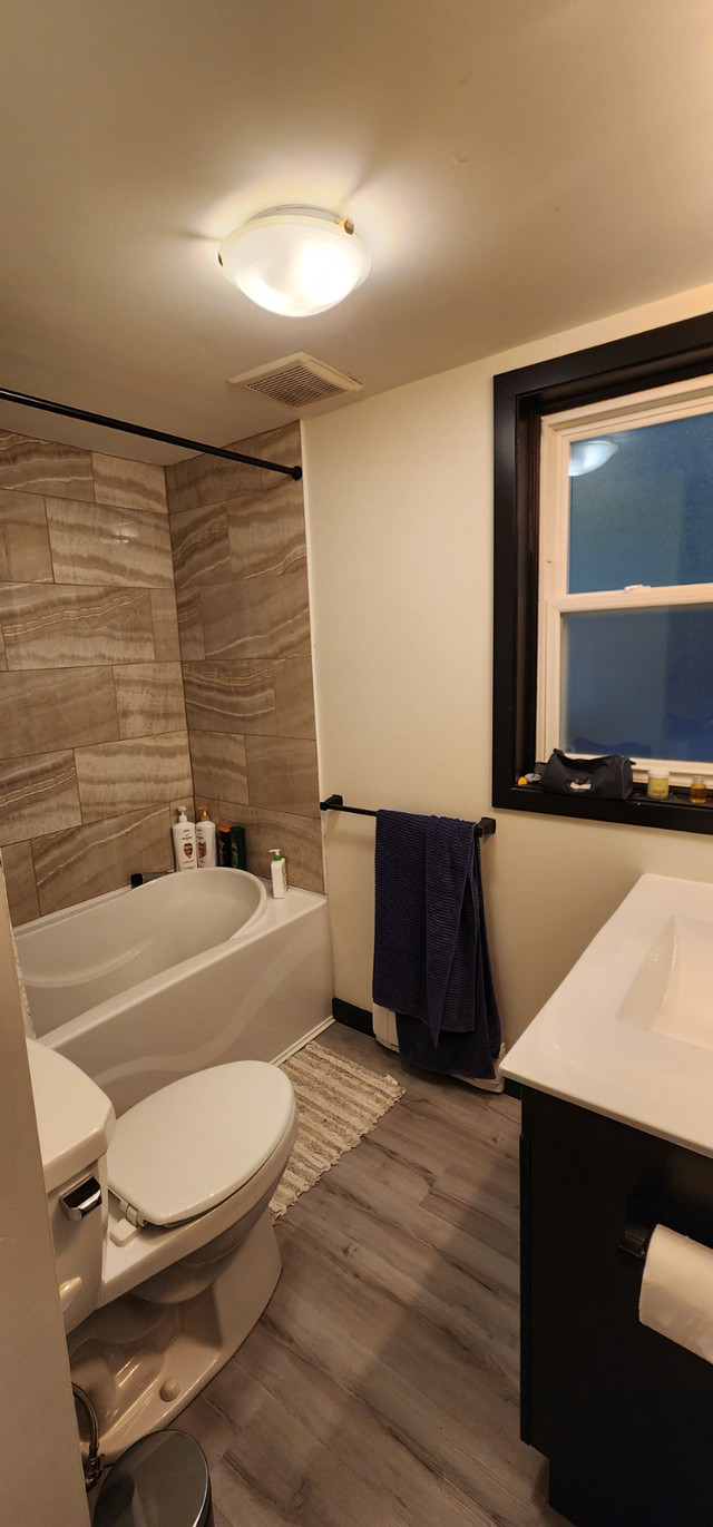 Old East Hill-2Bed, Renovated, Laundry in Unit, INCL Heat & A/C in Long Term Rentals in Belleville - Image 4