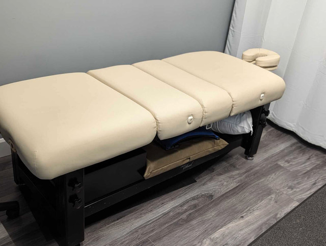 Comfort Soul DENALI ELITE Spa Treatment Table in Health & Special Needs in Sarnia - Image 3