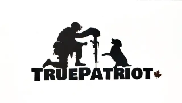 TruePatriot Tollers is now accepting applications! in Dogs & Puppies for Rehoming in Woodstock - Image 11