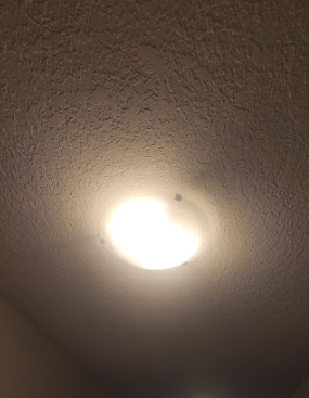 3 2-Light Ceiling Lights $5 each in Indoor Lighting & Fans in Kitchener / Waterloo - Image 3