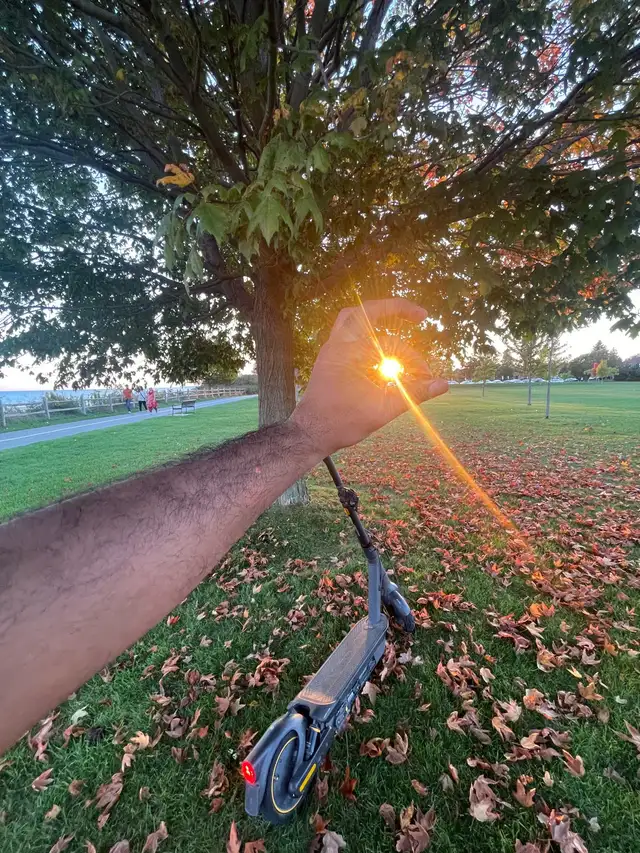 Walking Buddy64285834525825120