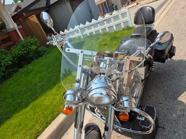 2000 Honda Shadow 750 ACE in Street, Cruisers & Choppers in Kitchener / Waterloo - Image 2