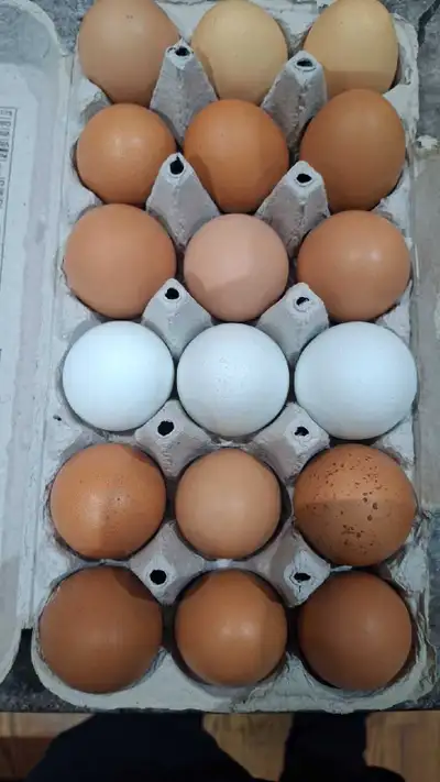 I am selling farm fresh eggs located just south of port perry! 7.50 for 18 or 5 a dozen. Text for qu...