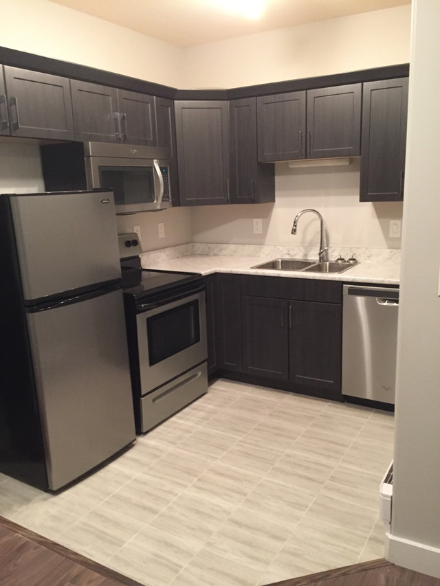 Basement suite in rosewood for rent! Long Term Rentals Saskatoon