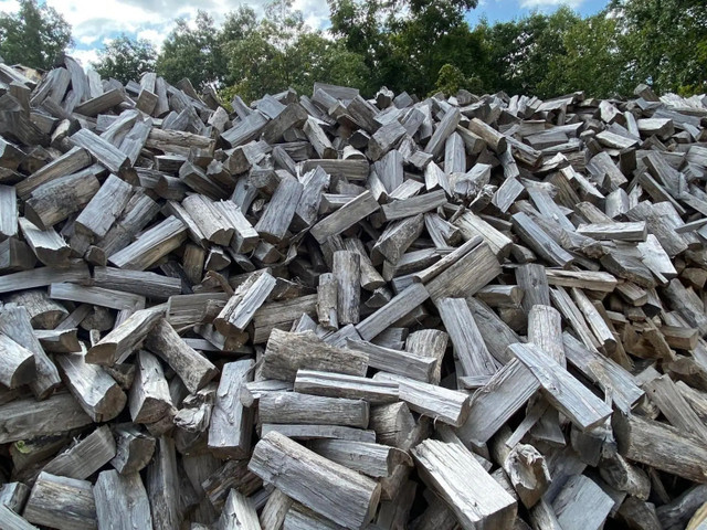Firewood for sale  in Other in Prince Albert