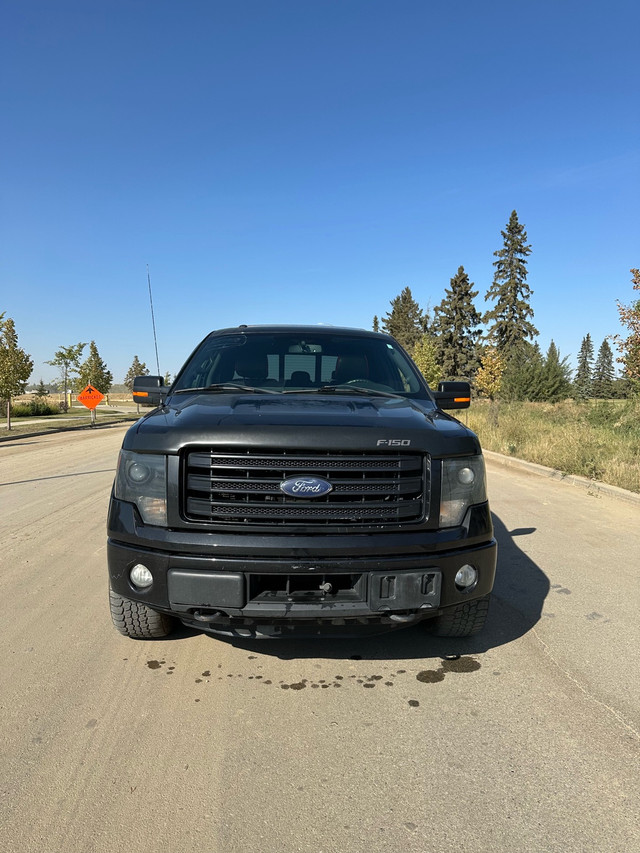 2014 Ford F-150 FX4 3.5L Ecoboost  in Cars & Trucks in Edmonton - Image 3