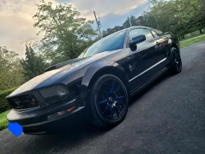 06 Mustang v6