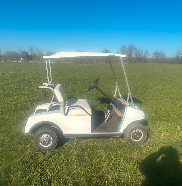 Golf cart in Other in Kingston - Image 3