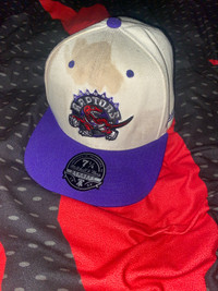 Toronto Raptors Hat