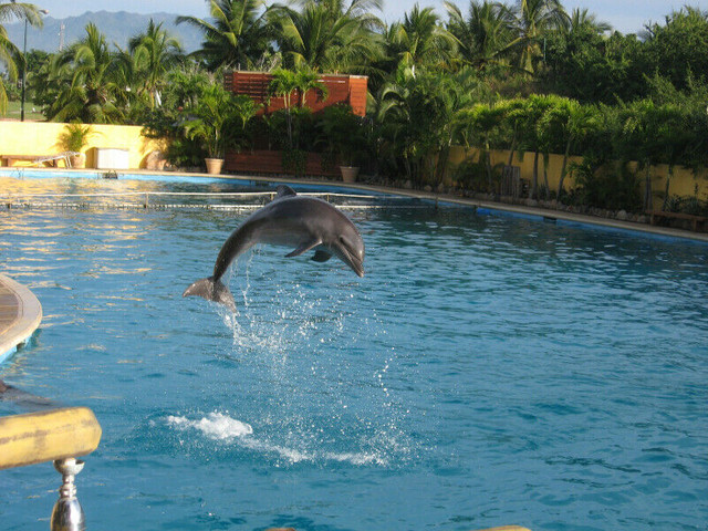 Mexico–Puerto Vallarta - beautiful condo right on the beach! in Mexico - Image 3