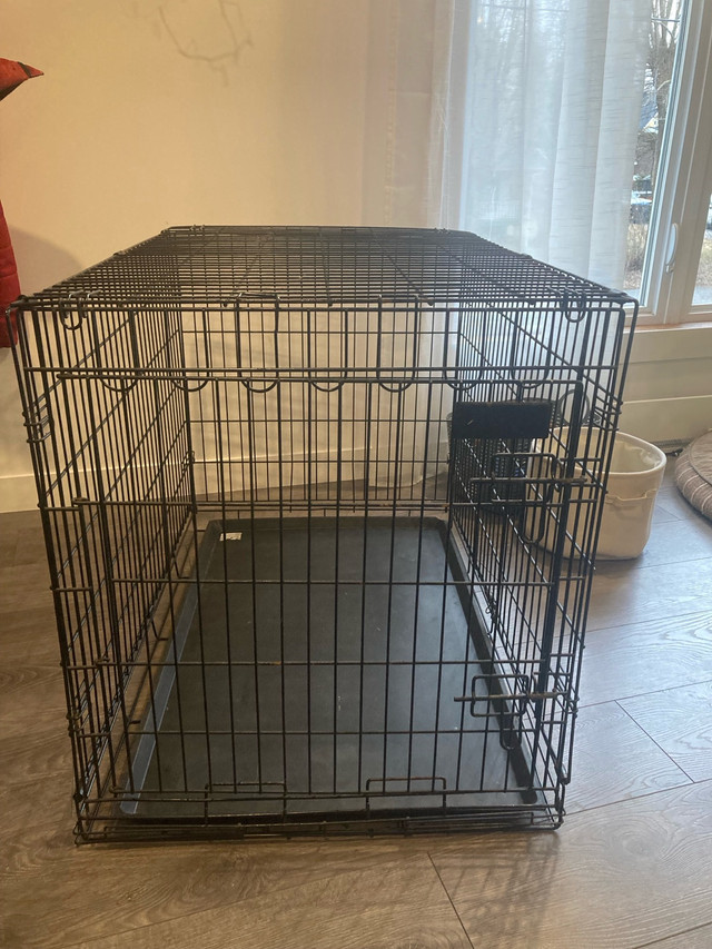 Cage pour chien  dans Autre  à Longueuil/Rive Sud