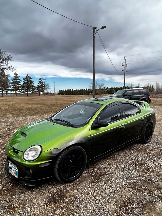 2005 Dodge Neon SRT4 in Cars & Trucks in Brandon