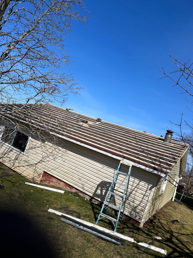Metal roof services  in Roofing in Annapolis Valley - Image 3
