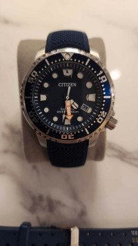 Citizen Eco-Drive Promaster Diver watch