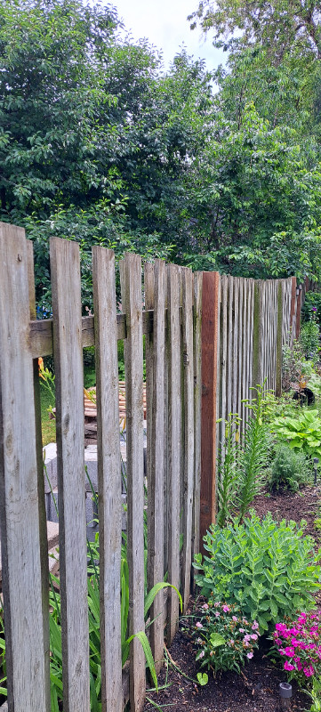 Fence repair, deck repair. in Fence, Deck, Railing & Siding in Ottawa - Image 2