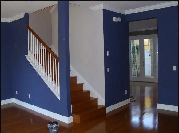Professional Painter630130907374111214