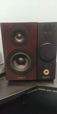 Sony CAS-1 Speakers