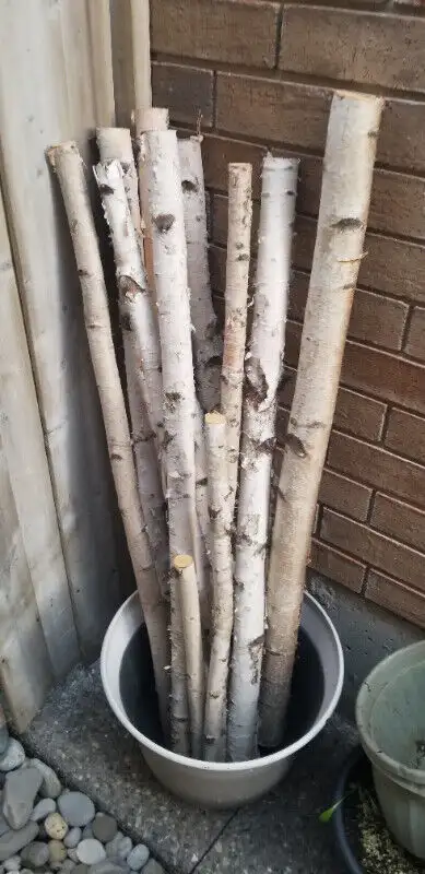 Pieces of white birch hardwood, View more
