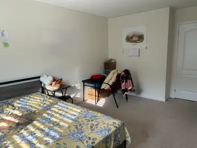 Master bedroom with private washroom and huge walk in closet is available for rent immediately. This...