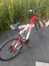 Schwinn ic4 kijiji shop