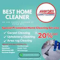 Carpet and upholstery cleaning specials 