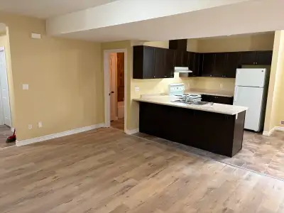 newly renovated 2 bedroom private entrance to large lower level apartment 1200 sqft the carpet has a...