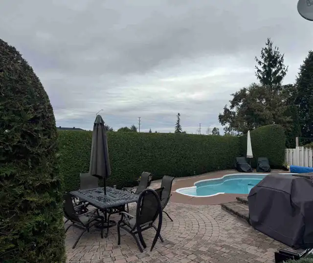 Fall Hedge Trimming