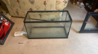 Free fish rehoming 