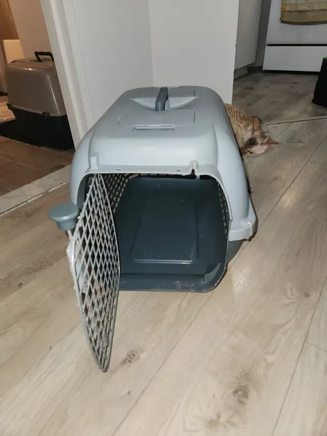 Pet Carrier / Animals Carrier Size Int 21"/15"/15"410021188244623362
